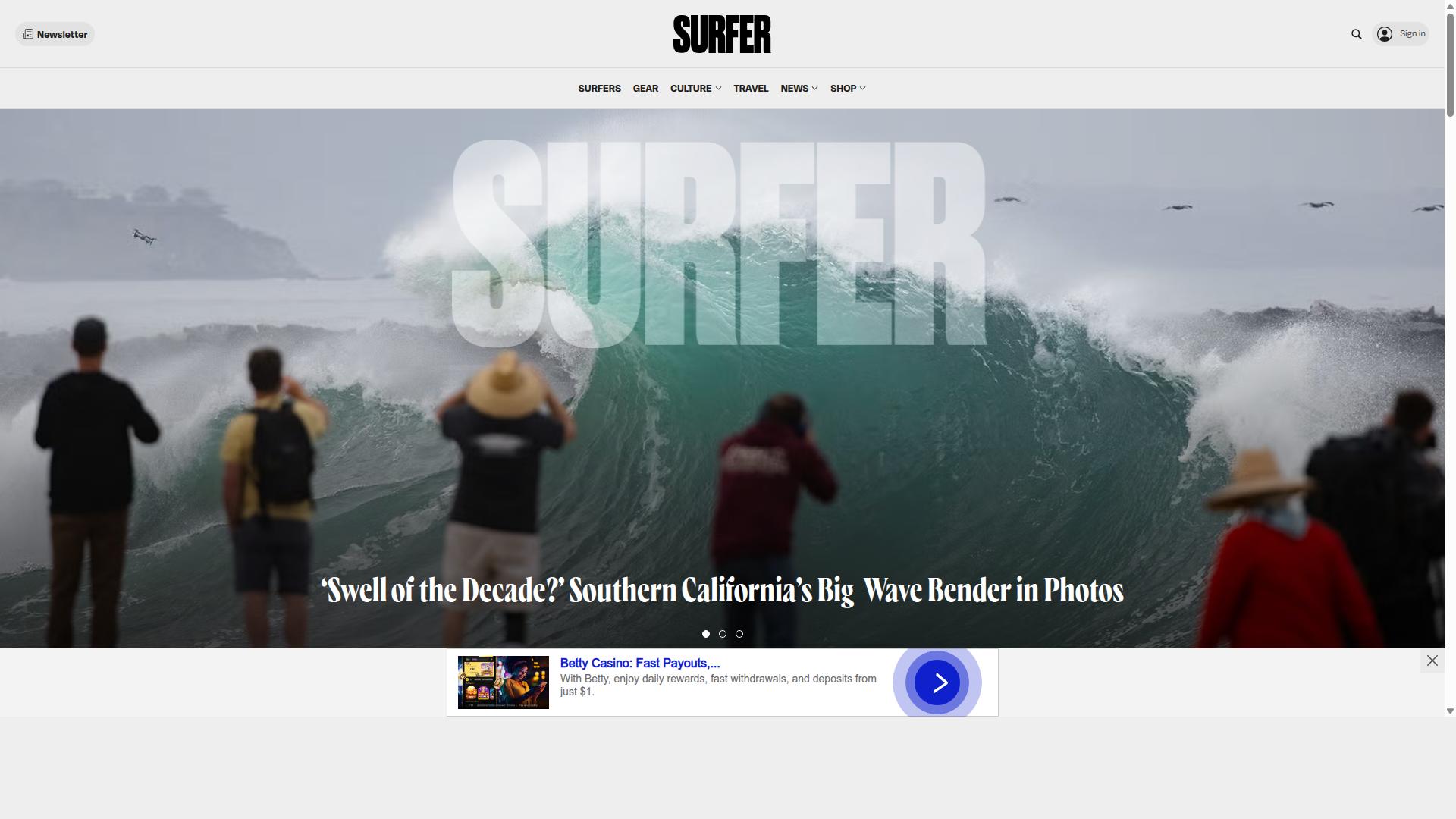 Surfer website
